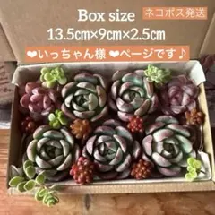 ‪‪❤︎‬いっちゃん様 ❤︎リクエスト 3点 まとめ商品