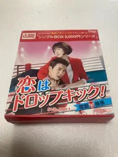 恋はドロップキック!~覆面検事~ DVD-BOX1(棚51)