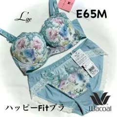 ワコール ルジェ ハッピーFitブラ 魔法の島 F75 下着 上下セット ② 