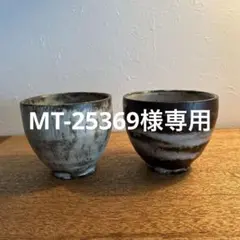 当真裕爾 ちぶぐゎーセット(検 國吉清尚 島武己) - メルカリ