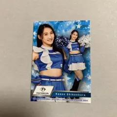 山田奈保 通常コンプ マリーゴールド プロレスカード トレカ MARIGOLD