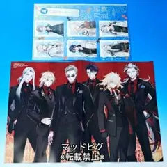 アニメディア2026年7月号 付録フォトカード ピンナップ 刀剣乱舞ONLINE