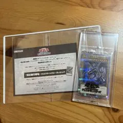 遊戯王 ブラックマジシャン 応募当選品 スペシャルイラスト 2500枚限定