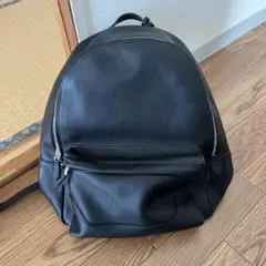 ペッレモルビダ　メイデンヴォヤージュのサムネイル