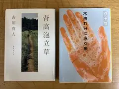 背高泡立草 & 木洩れ日に泳ぐ魚 2冊セット