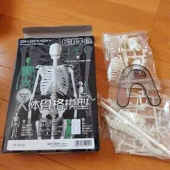 Item thumbnail for item 8c4017b9-e527-4231-860e-aadd24425599