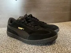 puma 26.5