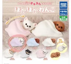 Item thumbnail for item 22fd1f16-15bb-4b10-85a2-d860e8a8d134