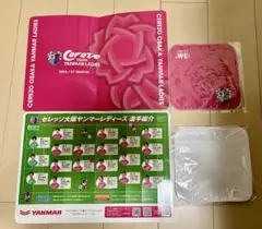 セレッソ大阪ヤンマーレディースの2026/27シーズン公式グッズセット