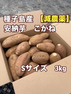 種子島産安納芋こがね【減農薬】 2Sサイズ 3kg - メルカリ