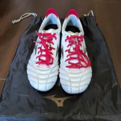 MIZUNO モレリアネオIV Japan