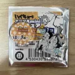 ハイキュー！！ アクリルminiフィギュア 及川＆岩泉