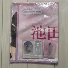 池田瑛紗 乃木坂46福袋A のぼり クリアファイル 缶バッジキーホルダー