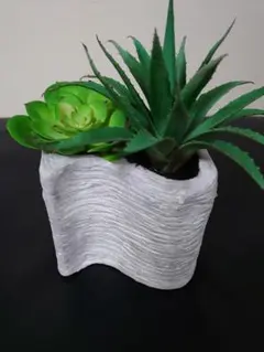 2026年最新】エミリオロバ 観葉植物の人気アイテム - メルカリ