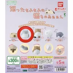 怒ったもふもふの猫ちゃあぁぁん