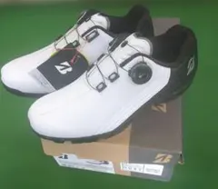 Item thumbnail for item 72987d5f-9e85-4e5d-b210-bbc2fba82123