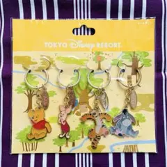 【新品未開封品】ディズニー リゾート キーチェーン プーさん ティガー 4点