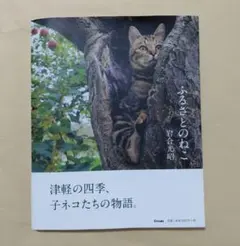ふるさとのねこ