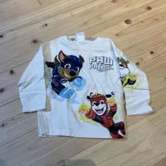パウパトロール 100