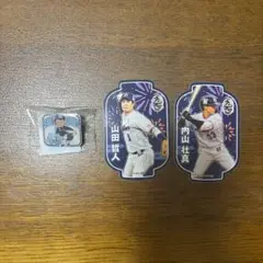 東京ヤクルトスワローズ ステッカー ピンバッジ