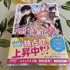 悪役令嬢 文学・小説