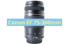 遠くも撮れる望遠レンズ付き⭐️小型軽量⭐️高画質⭐️Canon kiss X8i 楽天市場】eos kiss x8i レンズの通販