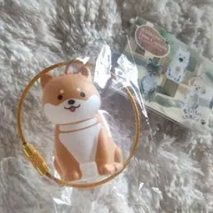 ☆新品☆わんこのタイムカプセル☆柴犬☆まめ☆ガチャガチャ☆カプセルトイ☆