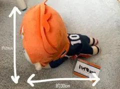 ハイキュー!! スペシャル寝そべりぬいぐるみ 日向翔陽