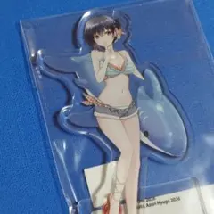 クラスで2番目に可愛い女の子と友だちになった 朝凪海 アクリル