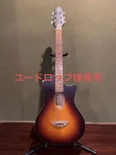 ESP Charプロデュース BambooInn-CE バンブーイン エレアコ 楽天市場】ESP/Charプロデュース BambooInn-CE STB See Thru