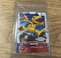 デジモンカード 英語 海外限定 アルティメットカップ ベスト64 エクスブイモン デジモンカード 英語 海外限定 アルティメットカップ ベスト64 エクス