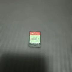 あつまれどうぶつの森　カセットのみ