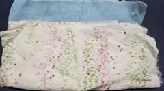 Item thumbnail for item 12a443be-fecb-48e8-a499-f739b99cec22