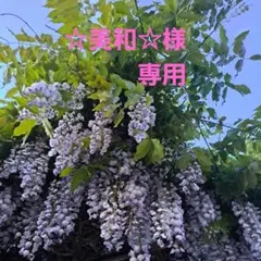 ☆美和☆様専用ページ