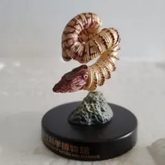 2025年最新】アンモナイト フィギュアの人気アイテム - メルカリ