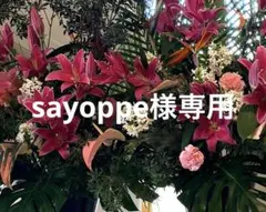sayoppe様専用★未開封【EKATO. 】プレシャスジェルパック10セット