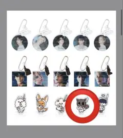 txt ppulbatu カプセルトイ アクスタ ダゴニャン