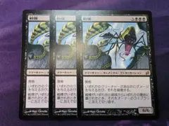 MTG　戦慄/Dread　3枚セット