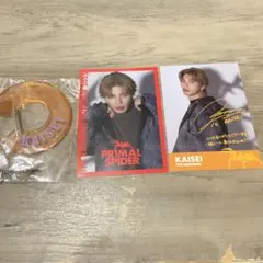 THE RAMPAGE　武知海青 PRIMAL SPIDER　シクレ トレカ