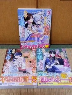 冴えない加護持ち令嬢、孤高の王子様に見初められる～美貌の妹に言いなりの家族を捨…