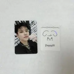 Straykids スンミン　stayzone 8/24 特典トレカ