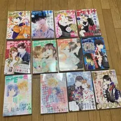 レディースまんが　プチコミックまとめ売り12冊