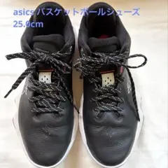 asicバスケットボールシューズ　バッシュ　25.0cm