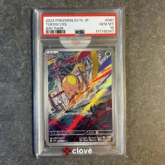 ヌイコグマ AR PSA10 - メルカリ