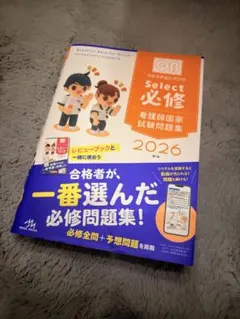 Item thumbnail for item e964d1dc-258c-494f-a24d-6d38df632729