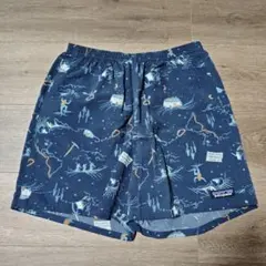 Patagonia アウトドア柄 バギーズショーツ メンズ XS 5インチ？