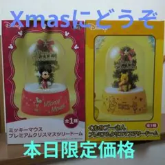 Disney プレミアムクリスマススノードームセット