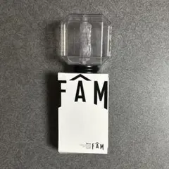 【美品】timelesz FAM タイムレス ペンライト