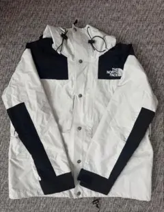 THE NORTH FACE GORE-TEX 마운틴 재킷