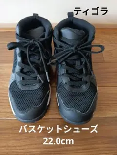 バスケットボールシューズ ブラック ブルー 22.0cm ティゴラ